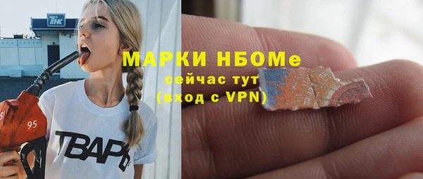 стаф Вяземский