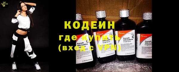 стаф Вяземский