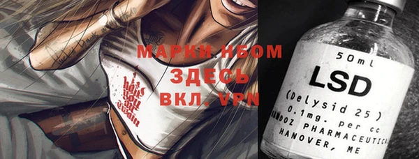 стаф Вяземский