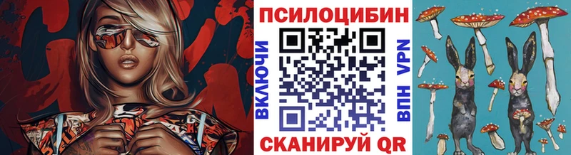 Галлюциногенные грибы MAGIC MUSHROOMS  Ильский 